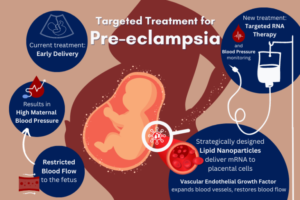 Targeted Treatment for Pre-eclampsia. Current treatment: Early delivery. Results in high maternal blood pressure, restricted blood flow to the fetus. New treatment: Targeted RNA therapy and blood pressure monitoring. Strategically designed Lipid Nanoparticles deliver mRNA to placental cells. Vascular endothelial growth factor expands blood vessels, restores blood flow.